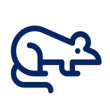 Blue outline mouse icon on black background