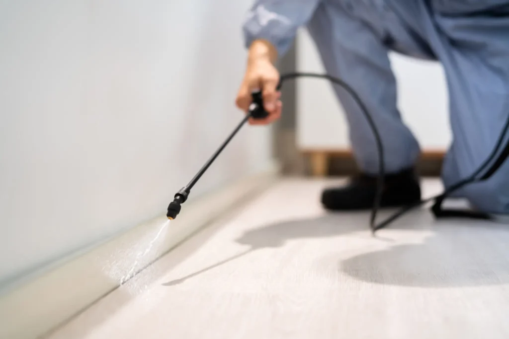 Pest control technician spraying baseboard indoors