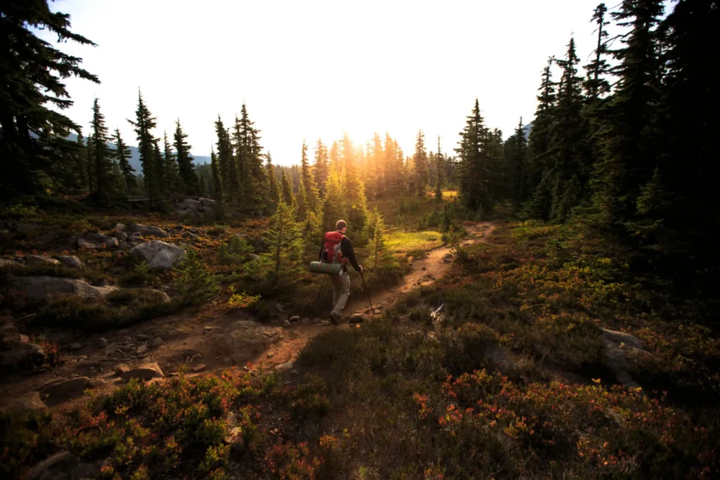 Hiker walking on forest trail at sunset