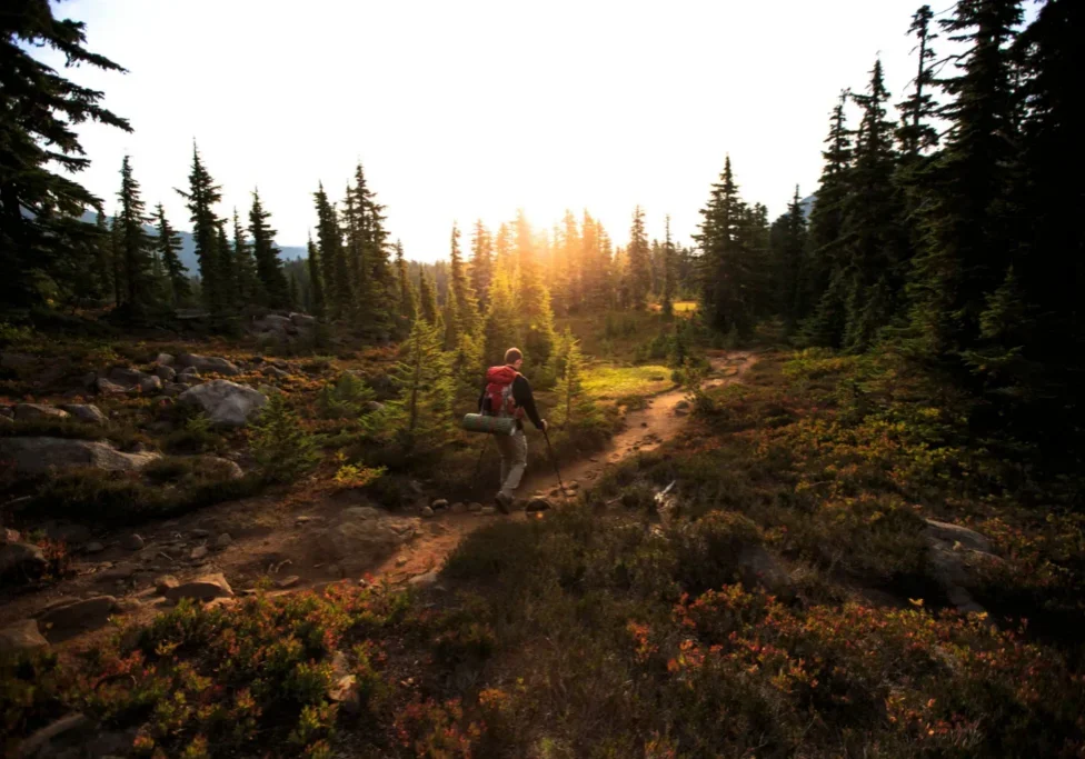 Hiker walking on forest trail at sunset