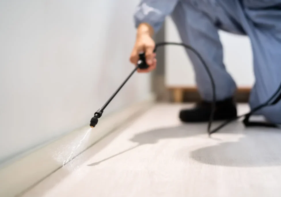 Pest control technician spraying baseboard indoors